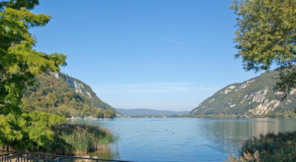 immagine slideshow