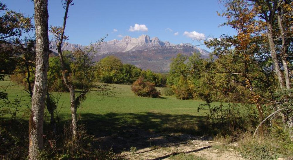 image diaporama