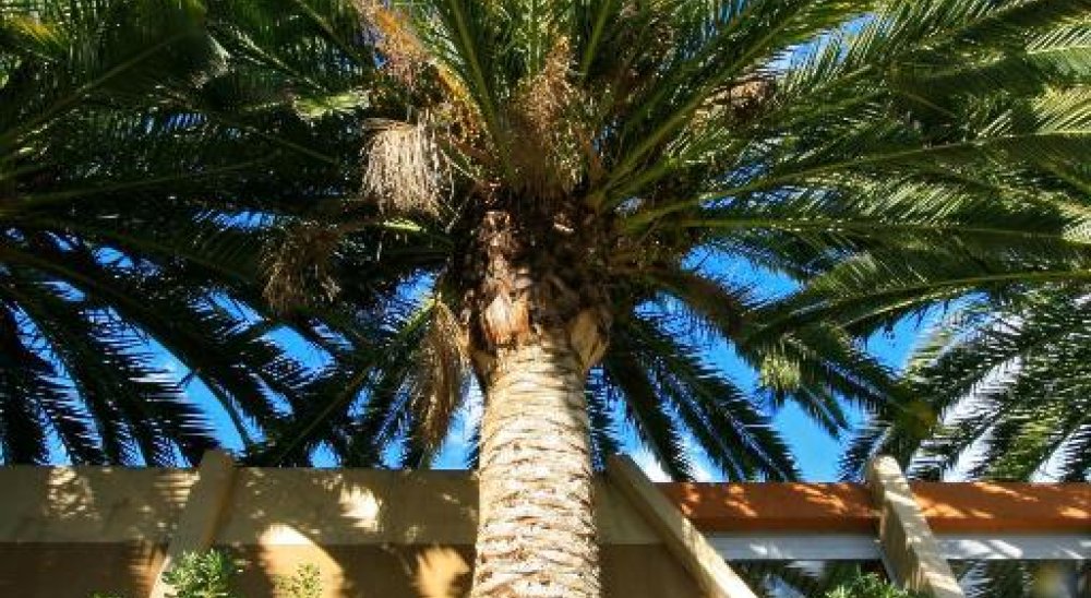 image diaporama