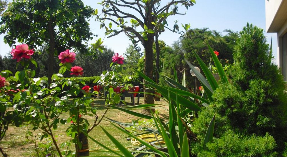 image diaporama