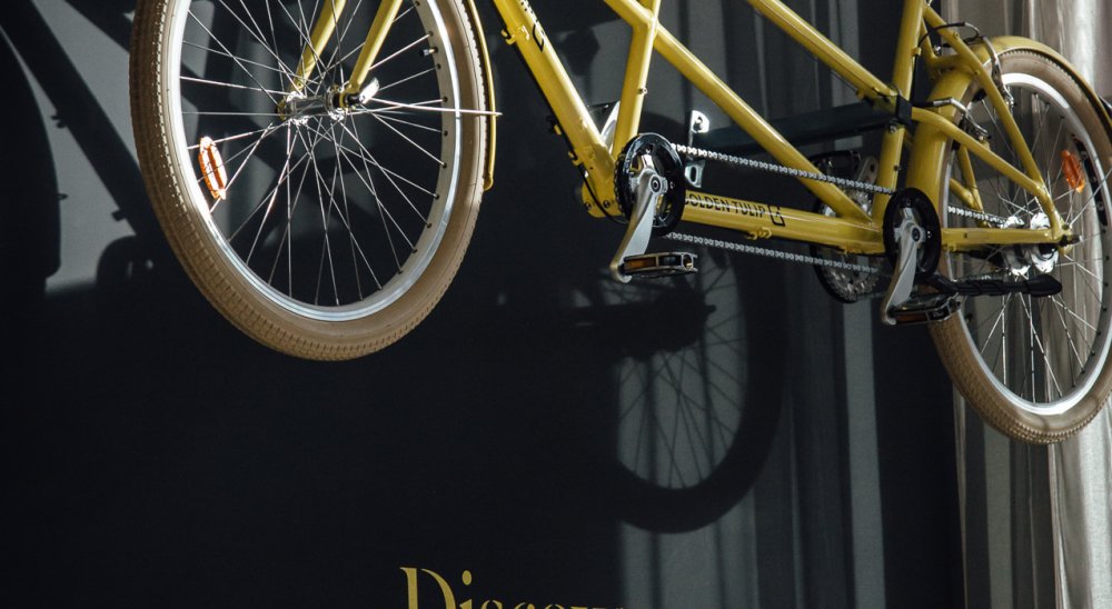 Diashow-Bild
