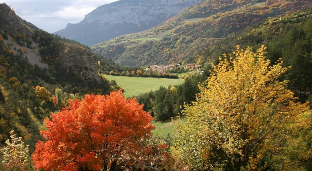 image diaporama