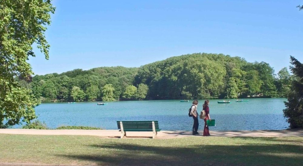 imagen del diaporama