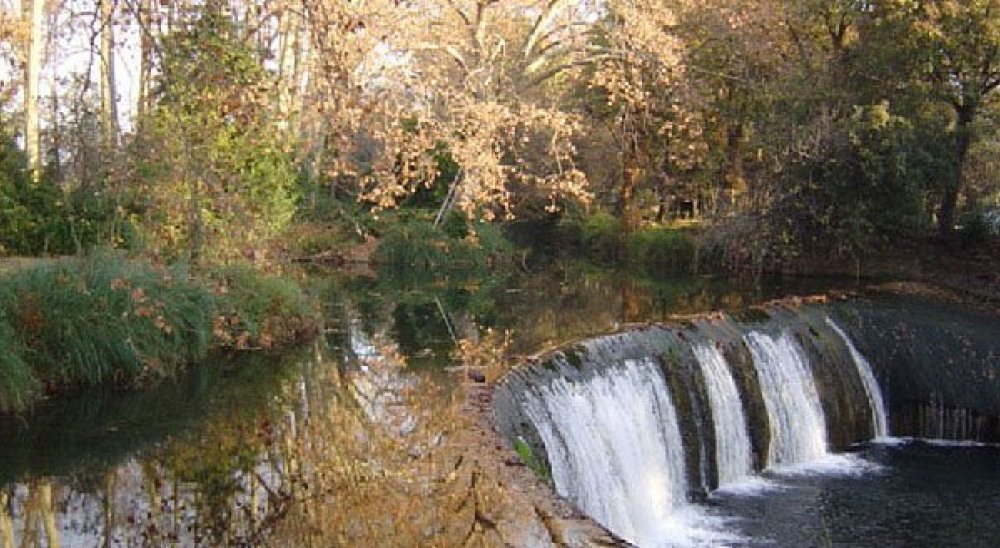 immagine slideshow