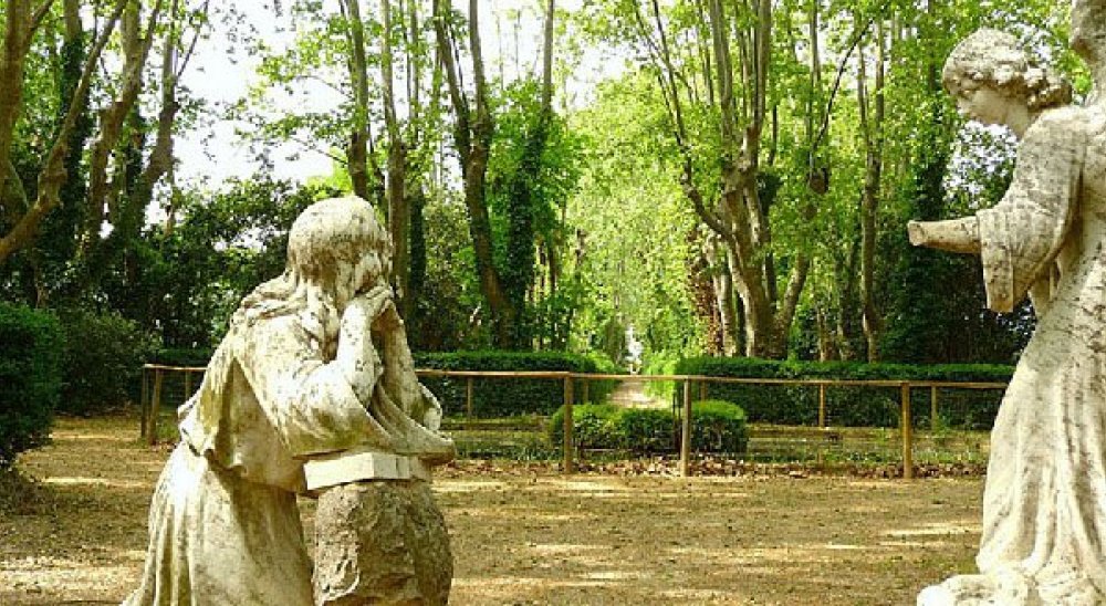 immagine slideshow