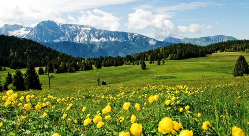 immagine slideshow